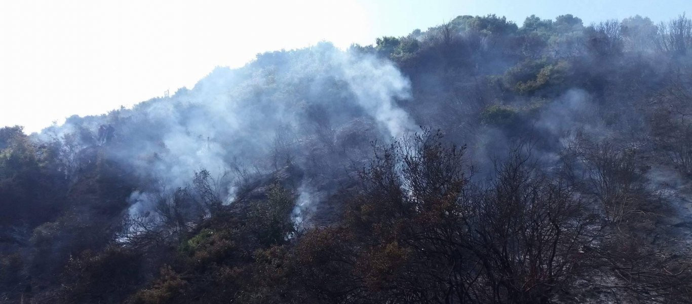 Χαλκιδική: Μαίνεται η πύρινη λαίλαπα στη Κασσάνδρα- Καμμένες αυλές και δίπλα σε σπίτια η φωτιά (φωτό, βίντεο)